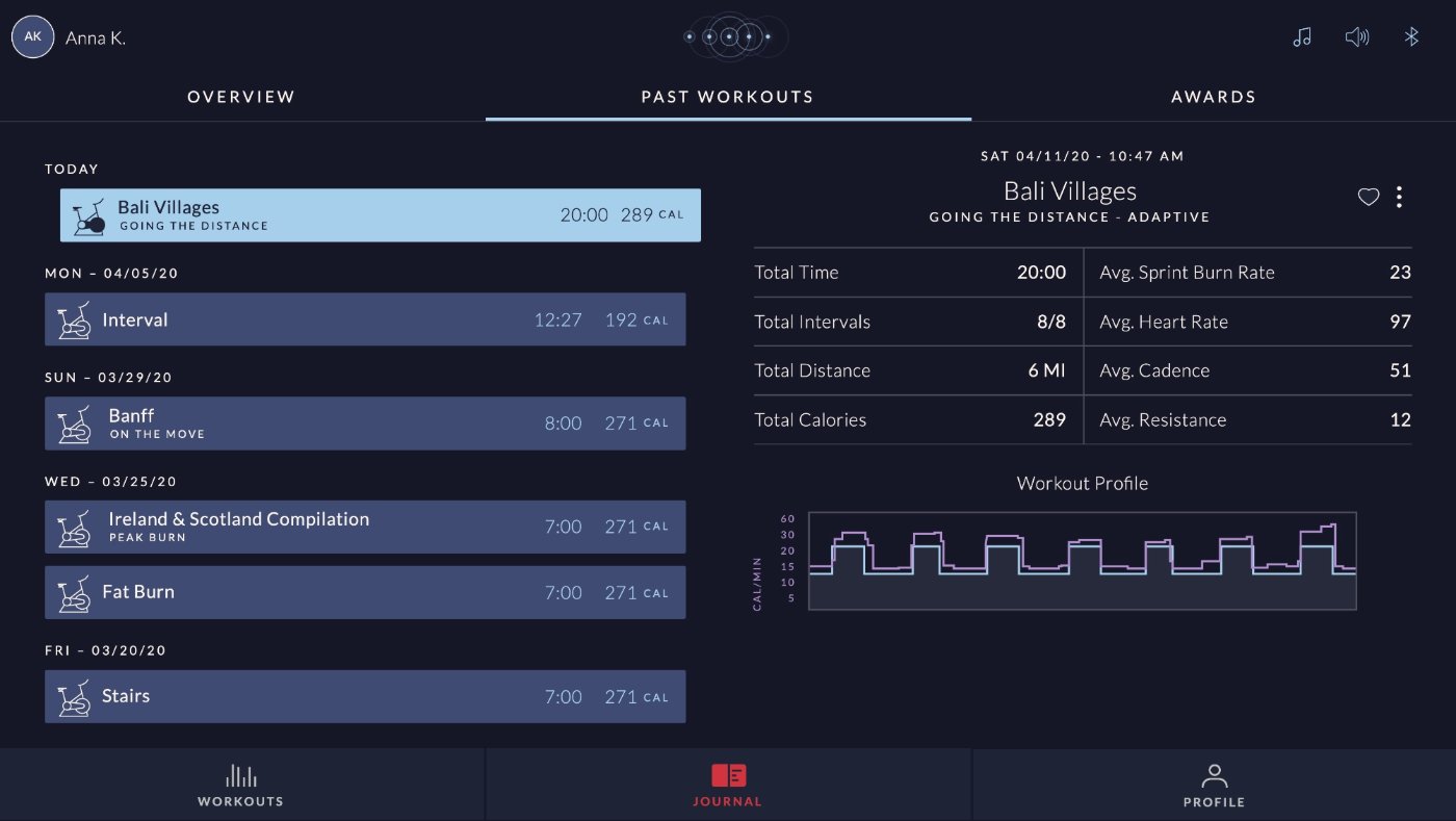 JRNY Journal past-workouts screen listing completed workouts with stats and a workout-profile graph, audited for color usage.
